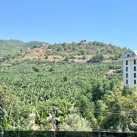 Apartment Salam 2 - Woman Pool - Experience *